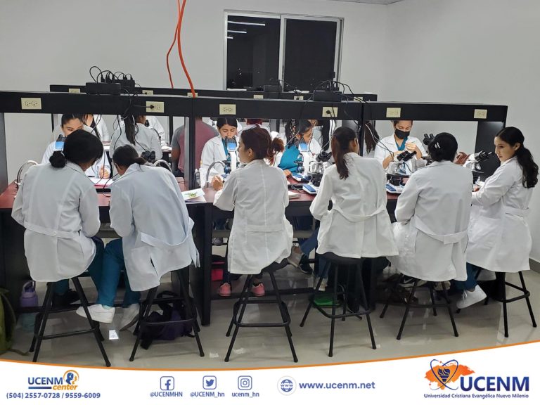 Día Mundial de la Salud